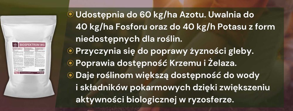 BiospektrumWG 3 kg na 12 ha uprawy, bakterie azotowe, bakterie glebowe