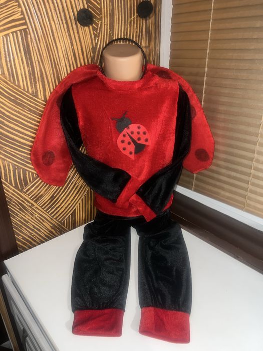 Костюм бедрика, джмеля, жука, коника, зайця, дощика,велмедика, вовка