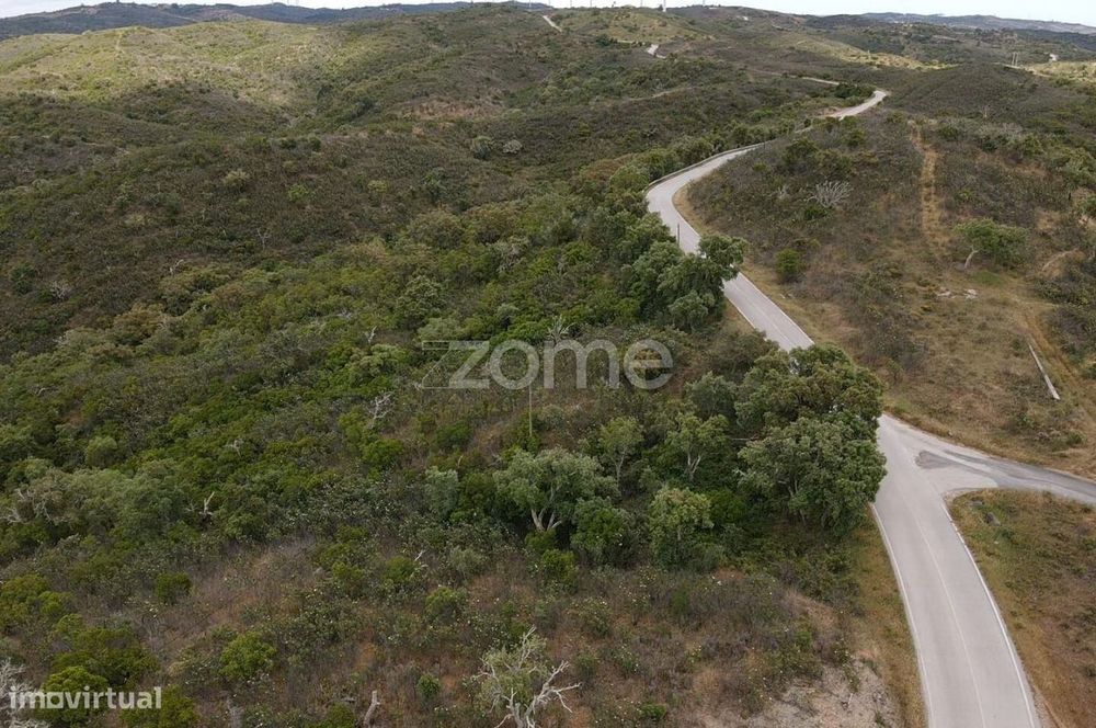 Terreno Rústico com 11.000m2 em Monte Velho, São Barnabé