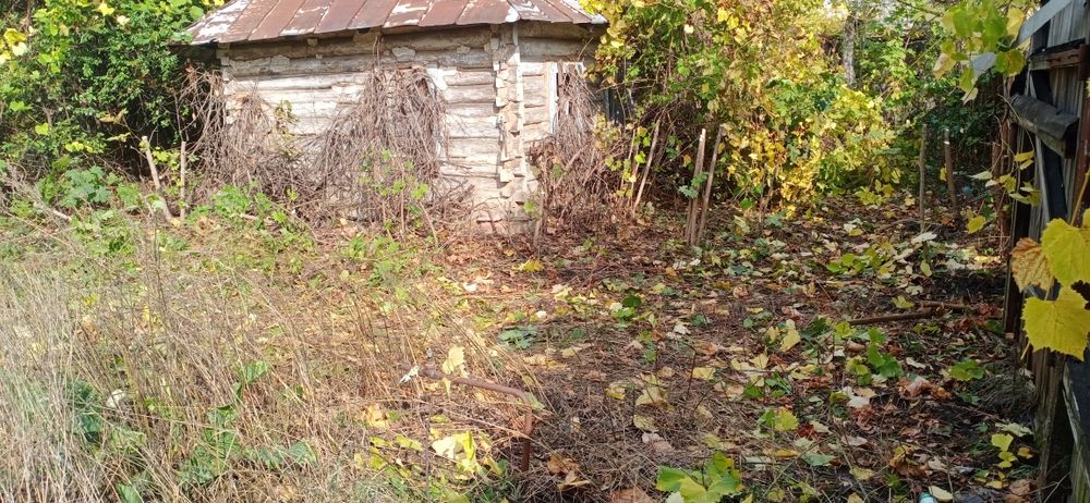 Расчистка територии,уборка и вывоз.