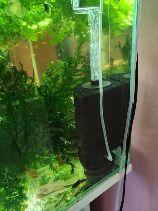 Filtr gąbkowy do akwarium 100l+