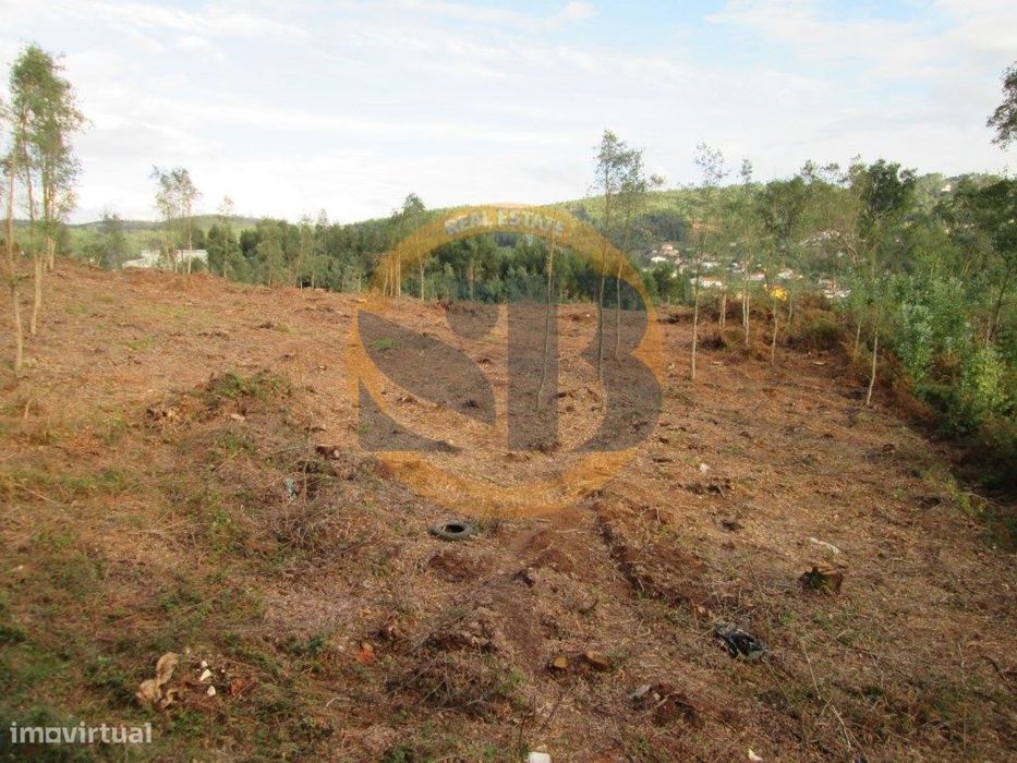 Terreno em Oliveira de Azeméis