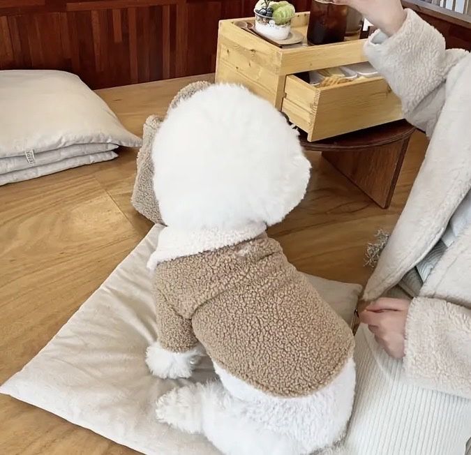 Одяг для собак різні розміри(нові)