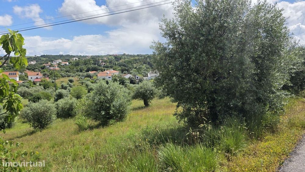 Excelente Terreno para Moradia a 5 kms de Tomar
