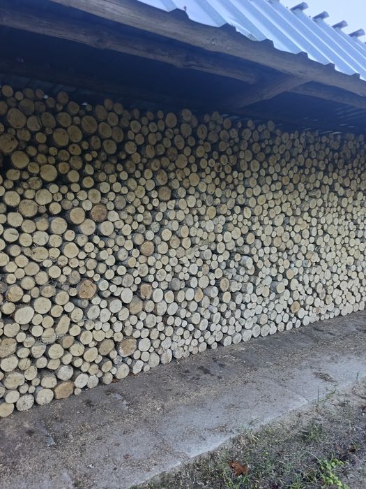 Drewno opałowe i kominkowe