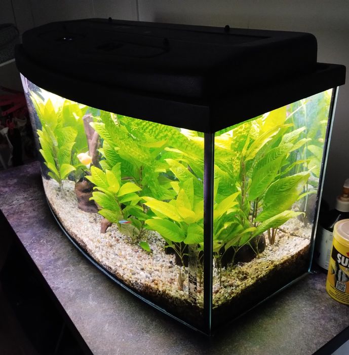 Akwarium profilowane 112l