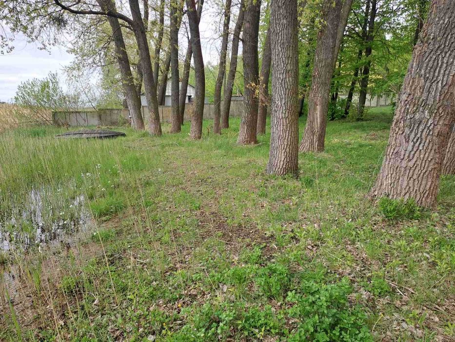 Оренда нерухомого майна - за адресою:  с. Хрінники, вул. Зарічна, 3