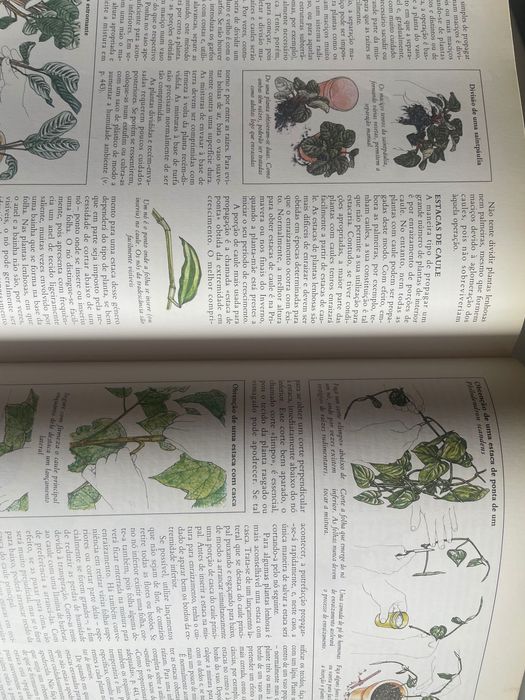 O grande Livro das plantas do interior 1982