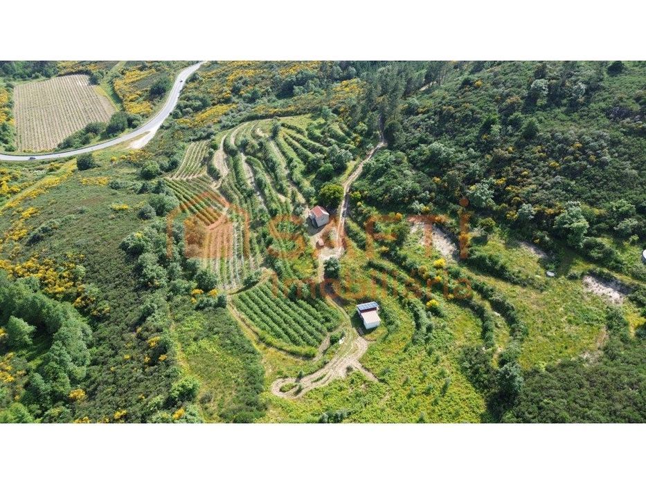 Propriedade Rural com cerca de 6 hectares com pequena residência de...