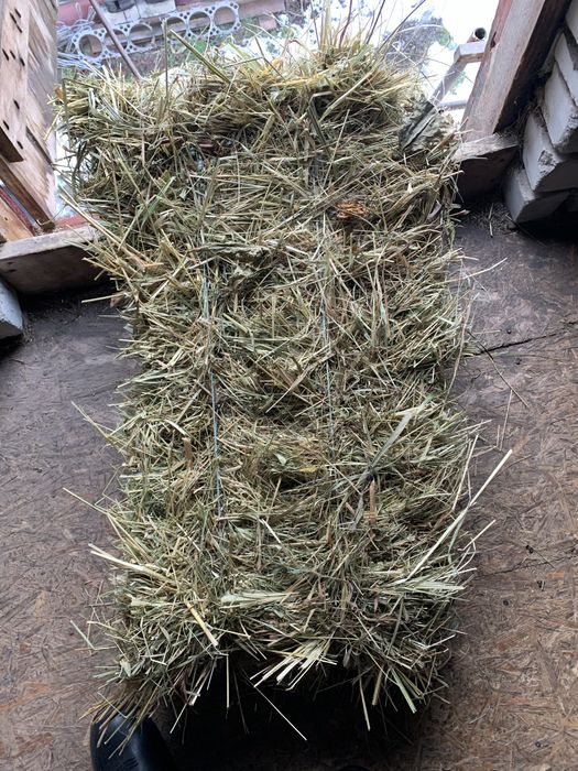 Свіже сіно в тюках.