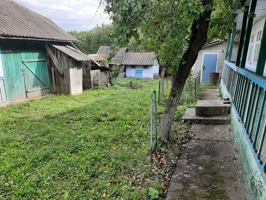 Продається господарство с.Боянчук Заставнівського р-ну.