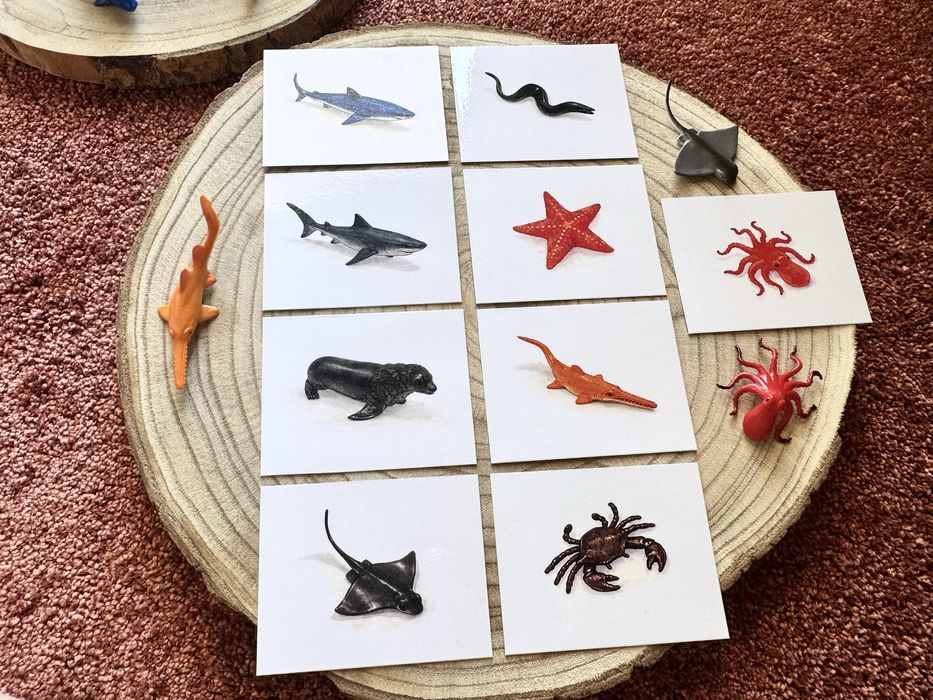 Animais do fundo do Mar - Montessori