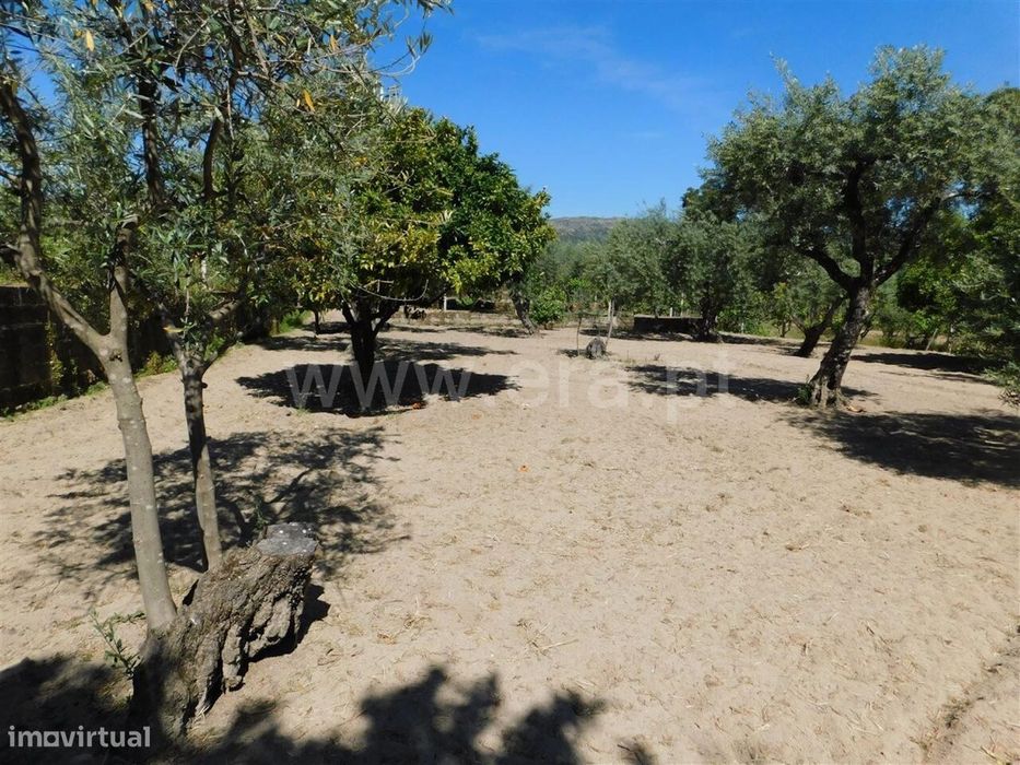 Terreno / Fundão, Póvoa da Atalaia — Póvoa De Atalaia E Atalaia Do Campo, Castelo Branco
