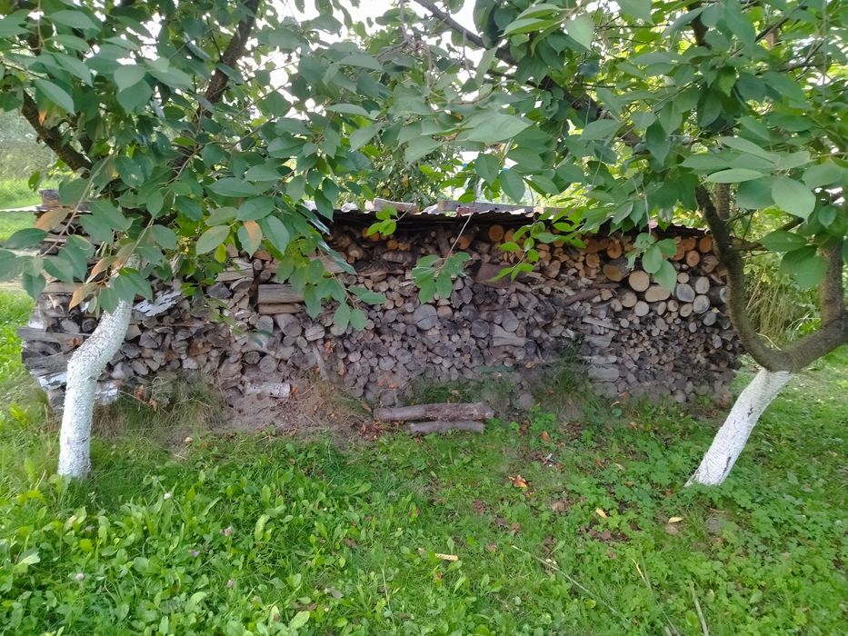 Продам дрова сухі та порубані.