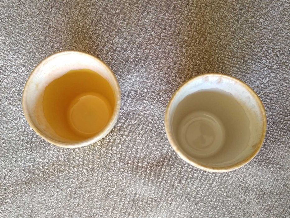 2 Copos Nespresso Mocha Costa Nova (porte incluído)