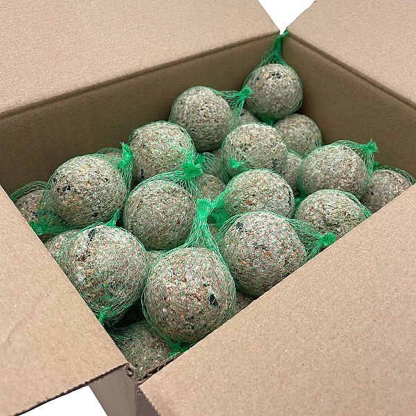 Kule zimowe tłuszczowe Karma zimowa 100 kul CHAMPI karmnik