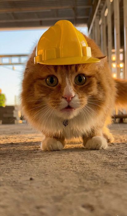 ШІ послуги під ключ: аудіо/відео продакшн, AI-візуал, саунд-дизайн