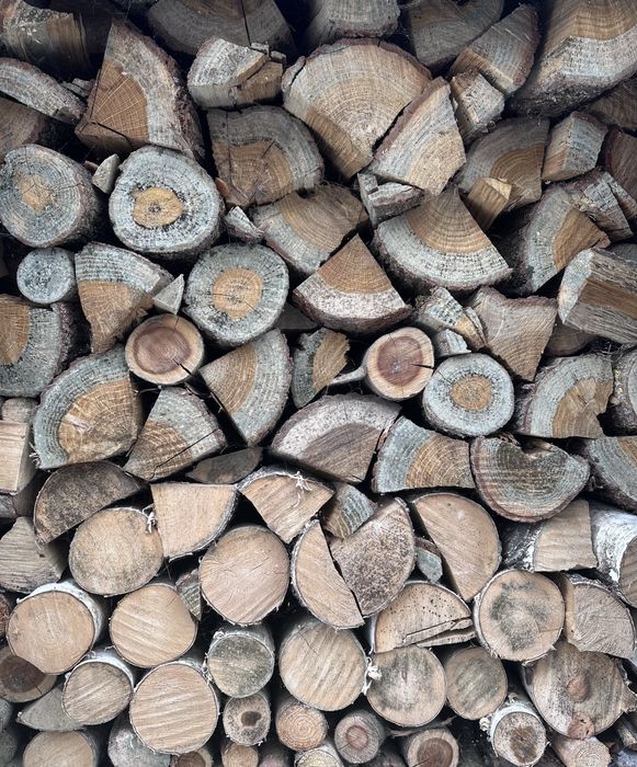 Sprzedam drzewo na opał