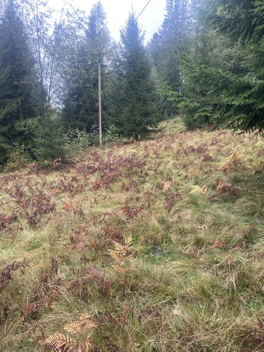 Земельна ділянка СГ