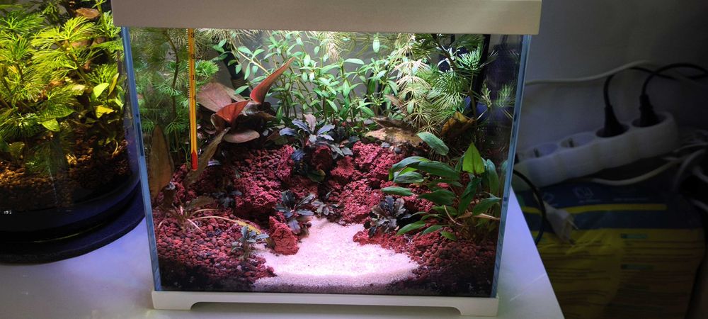 Akwarium 7 litrów kompletny zestaw dla krewetek krewetkarium