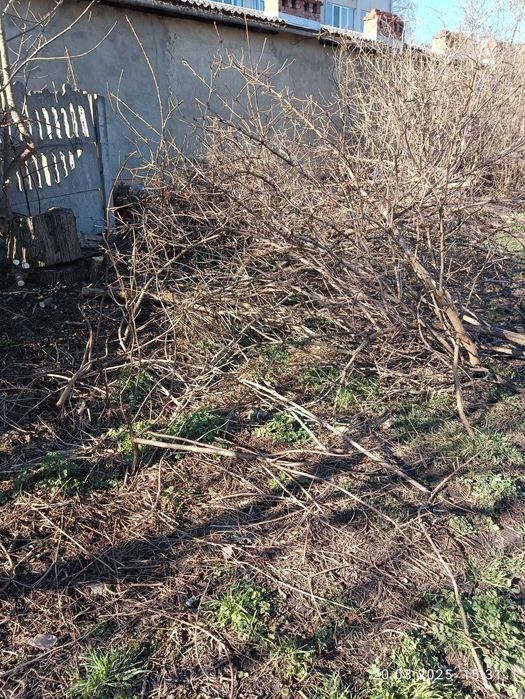 віддам безкоштовно відходи деревини