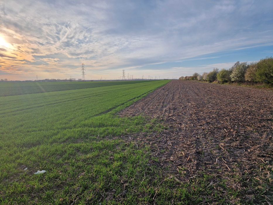 Sprzedam Gunt Pod Market Hale Produkcje Plewiska - Widok 5