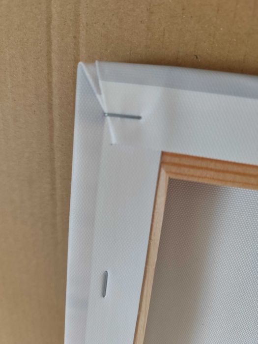 Obraz na płótnie - palma we mgle 50x50