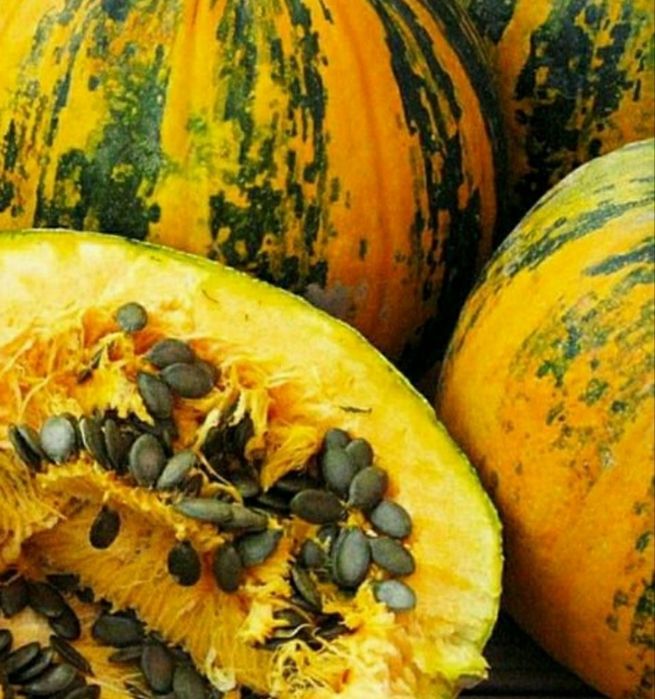 Насіння голонасінного гарбуза на посадку.