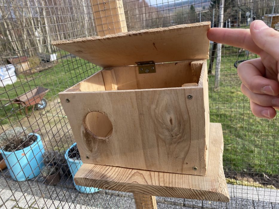 Klatka z kołowrotkiem woliera