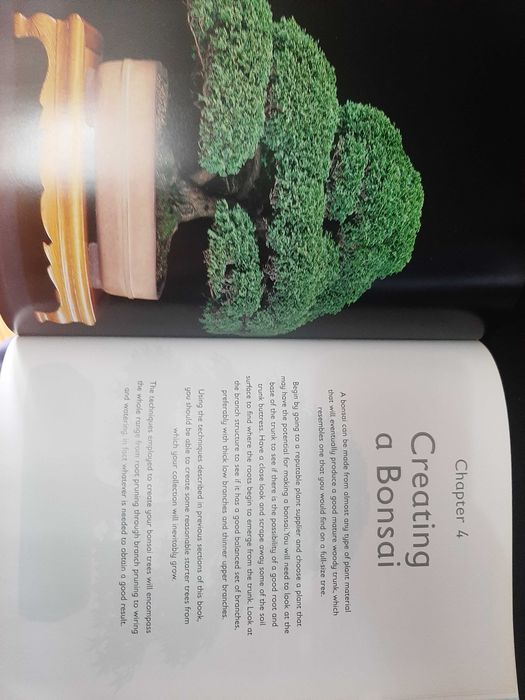 Ken Norman – The Beginner's Guide to Bonsai – photos by Peter Stiles