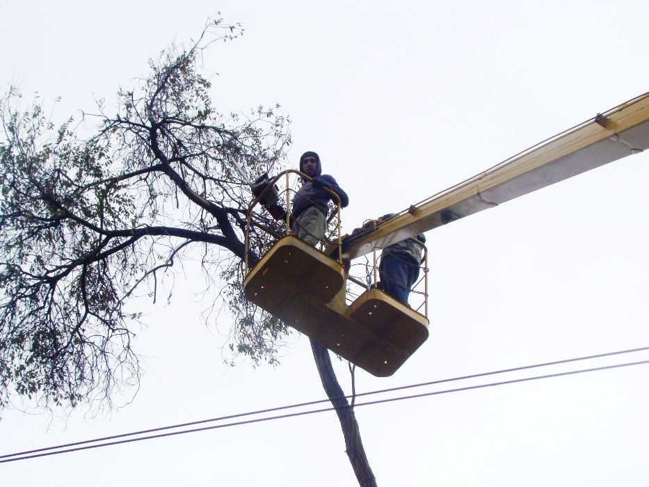 СПИЛ дерев АРБОРИСТИКА автовишка