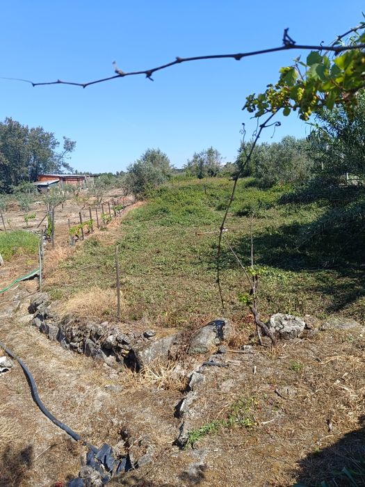 Limpeza de terrenos - Proteja a sua casa e terrenos de incêndios rurais e evite coimas