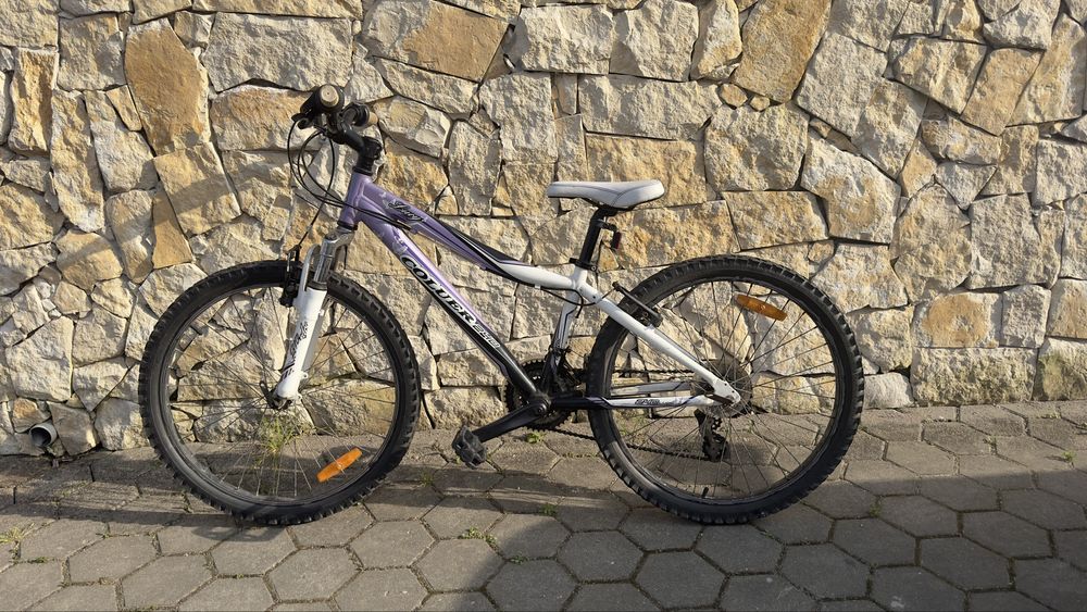 Bicicleta coluer roda 24