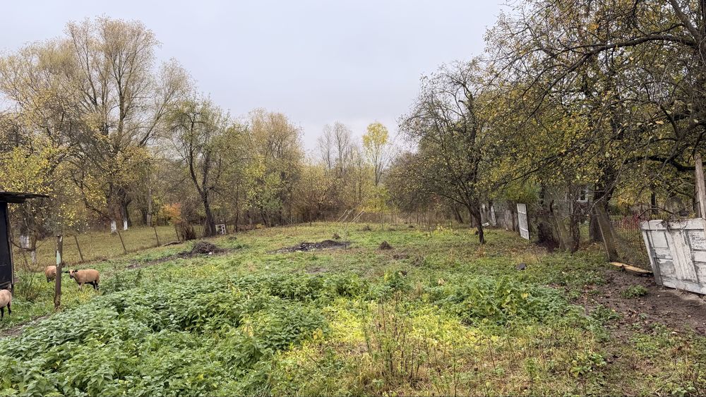 Продаж будинку в с. Добрівляни Дрогобицький район