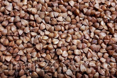 Продам крупу гречану Екор!