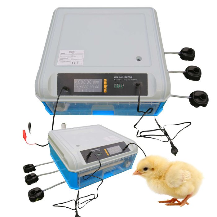 Inkubator automatyczny klujnik wylęgarka do jaj 64 jaj 80W4