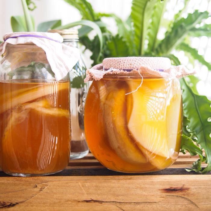 Чайный гриб , комбуча.