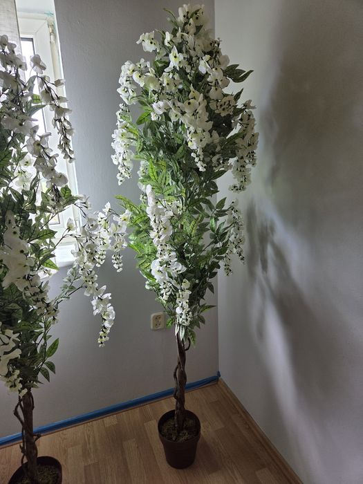 Drzewko Wisteria nowe 180 cm