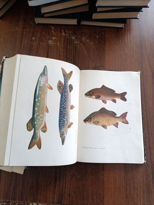 Продам книгу  по риболовлі