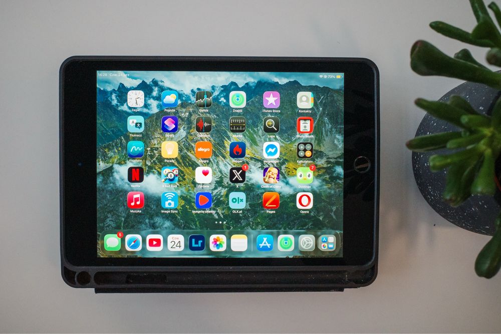 iPad Mini 5 256gb Wifi