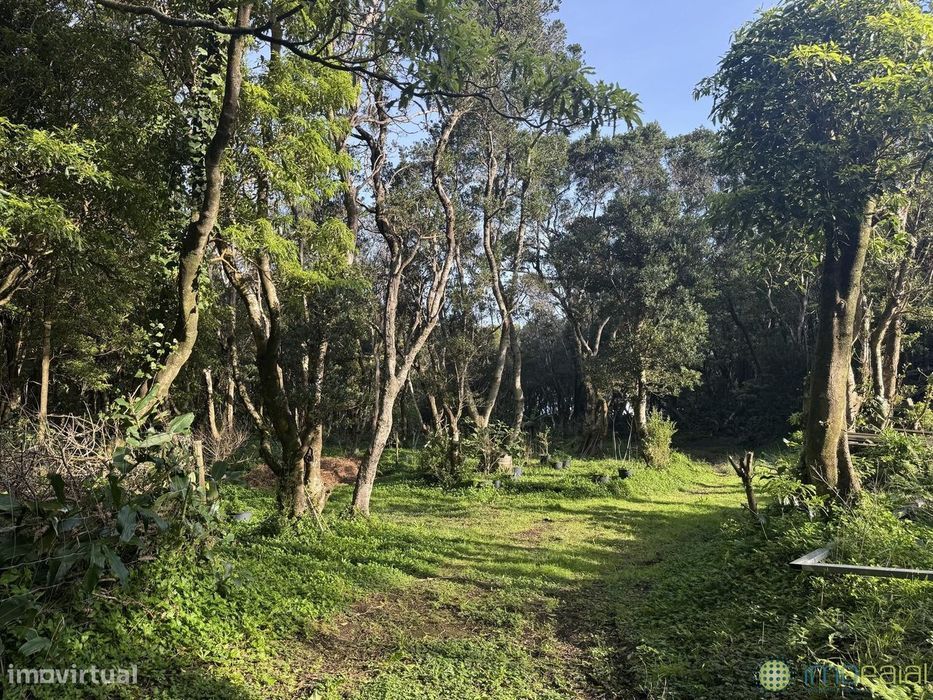 Venda Prédio