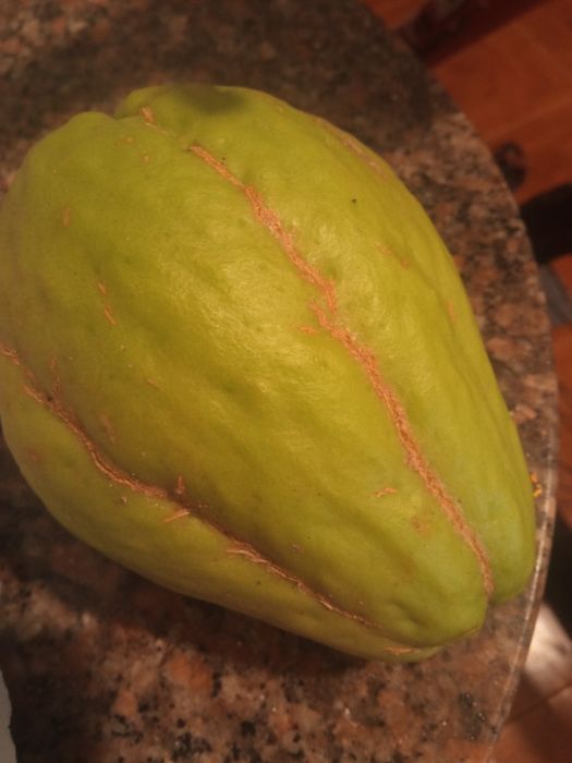 Chuchus Frescos, Saborosos e 100% Naturais!