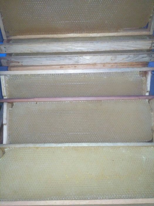 Продам суш (рамки) 100 шт.