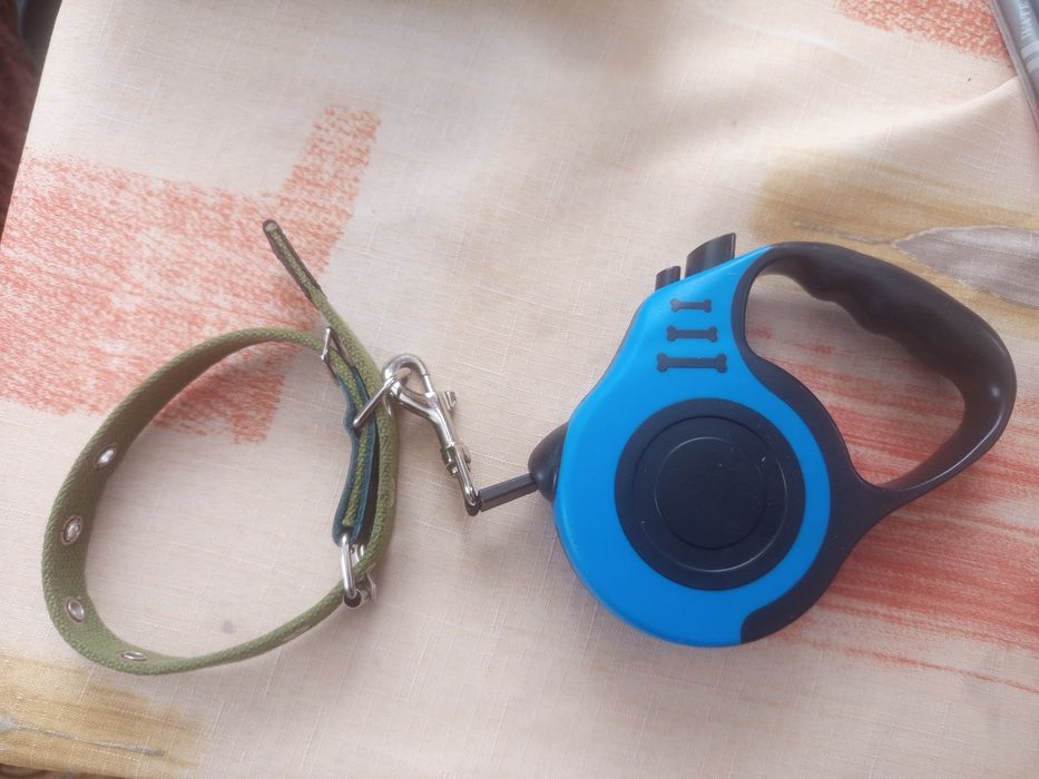 Поводок з нашийником для собак