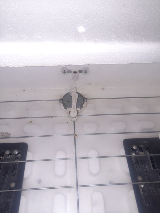 Инкубатор рябушка максимальна комплектація