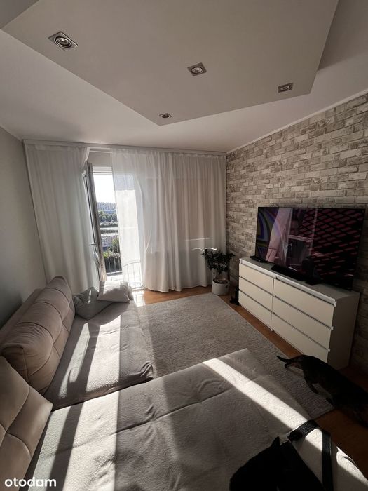 Mieszkanie 45,5 m2, I 2 pokoje + kuchnia z jadalnią, balkon , piwnica.