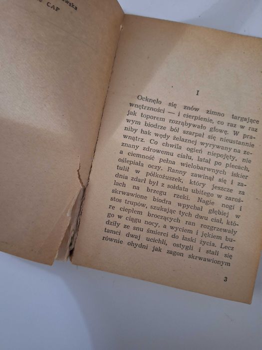 Wiena rzeka Stefan Żeromski