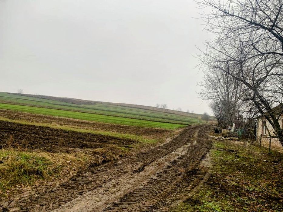 Земельна ділянка в Обарові.