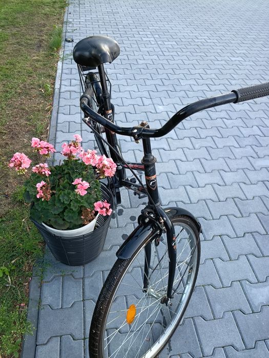 Rower Retro city line czarny