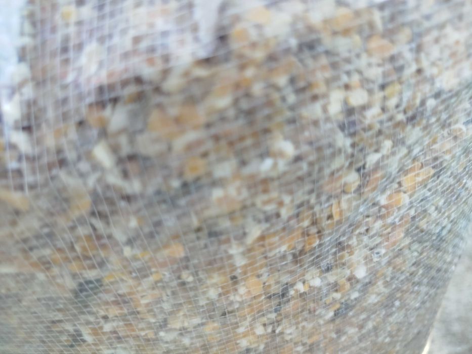 Ração para galinhas e galos